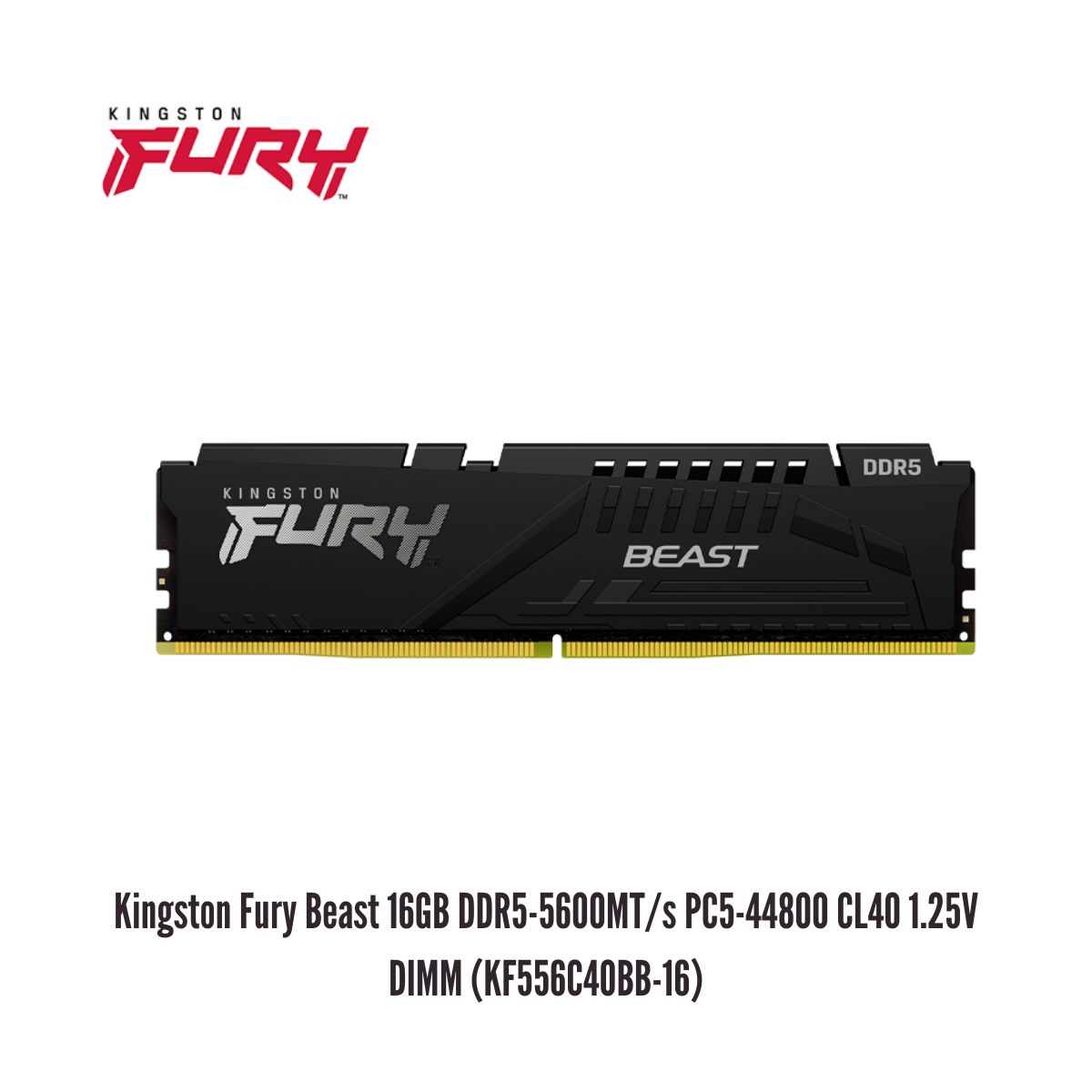 KINGSTON - Memoria RAM Kingston Fury Beast 16GB DDR5-5600MTs PC5-44800 CL40 1.25V