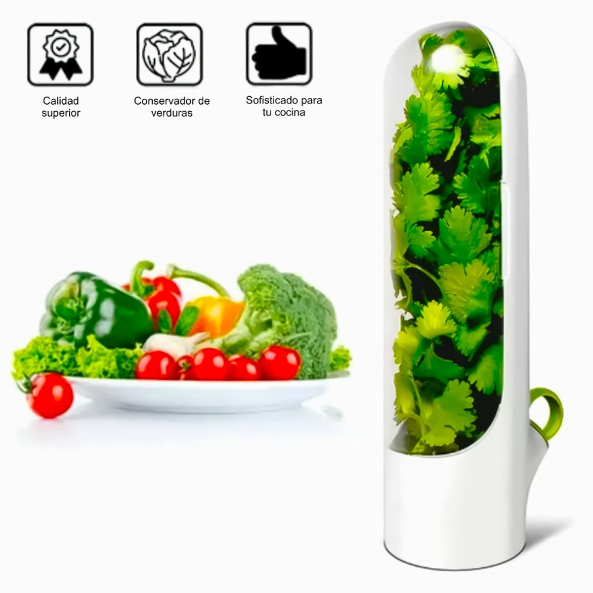 GENERICO - Conservador de Hierbas Frescas con Depósito de Agua