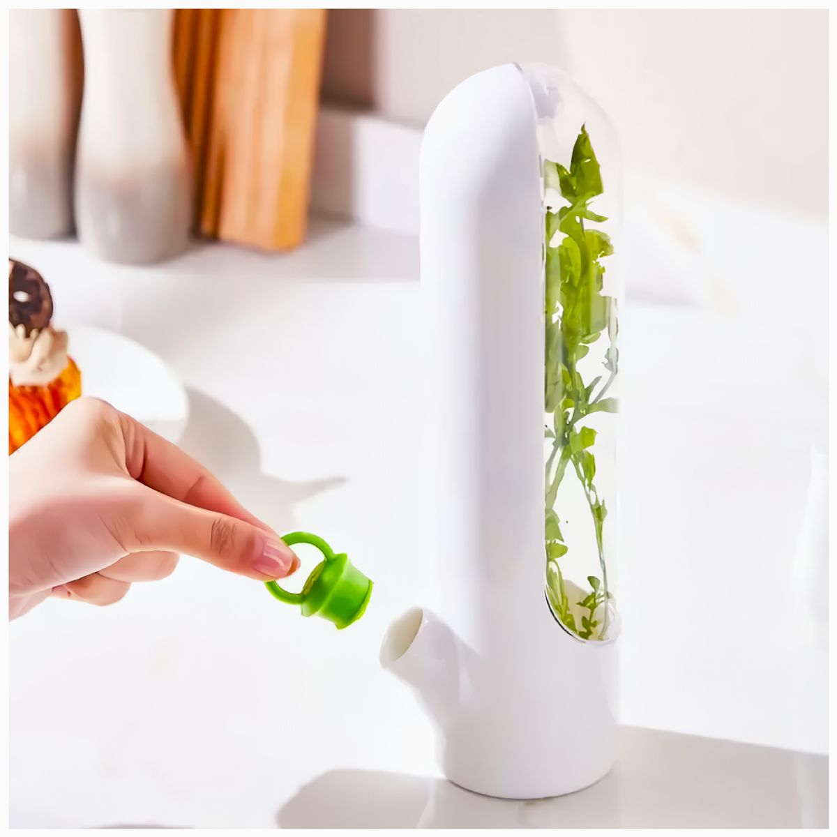 GENERICO - Conservador de Hierbas Frescas con Depósito de Agua