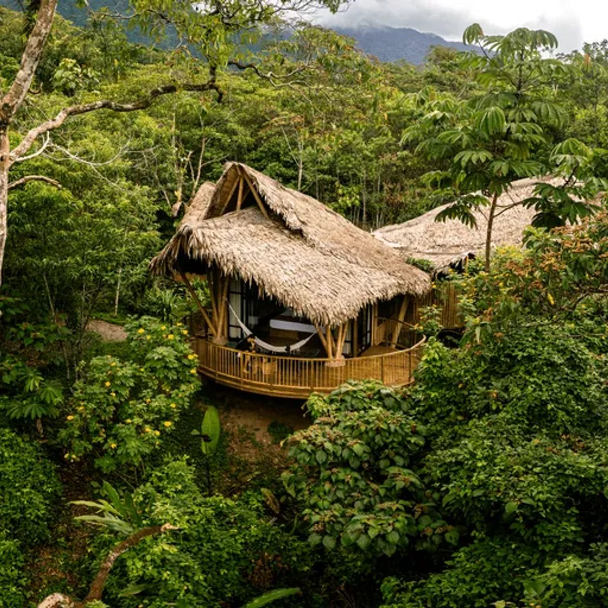 BIGBOX - Bosque Guardián