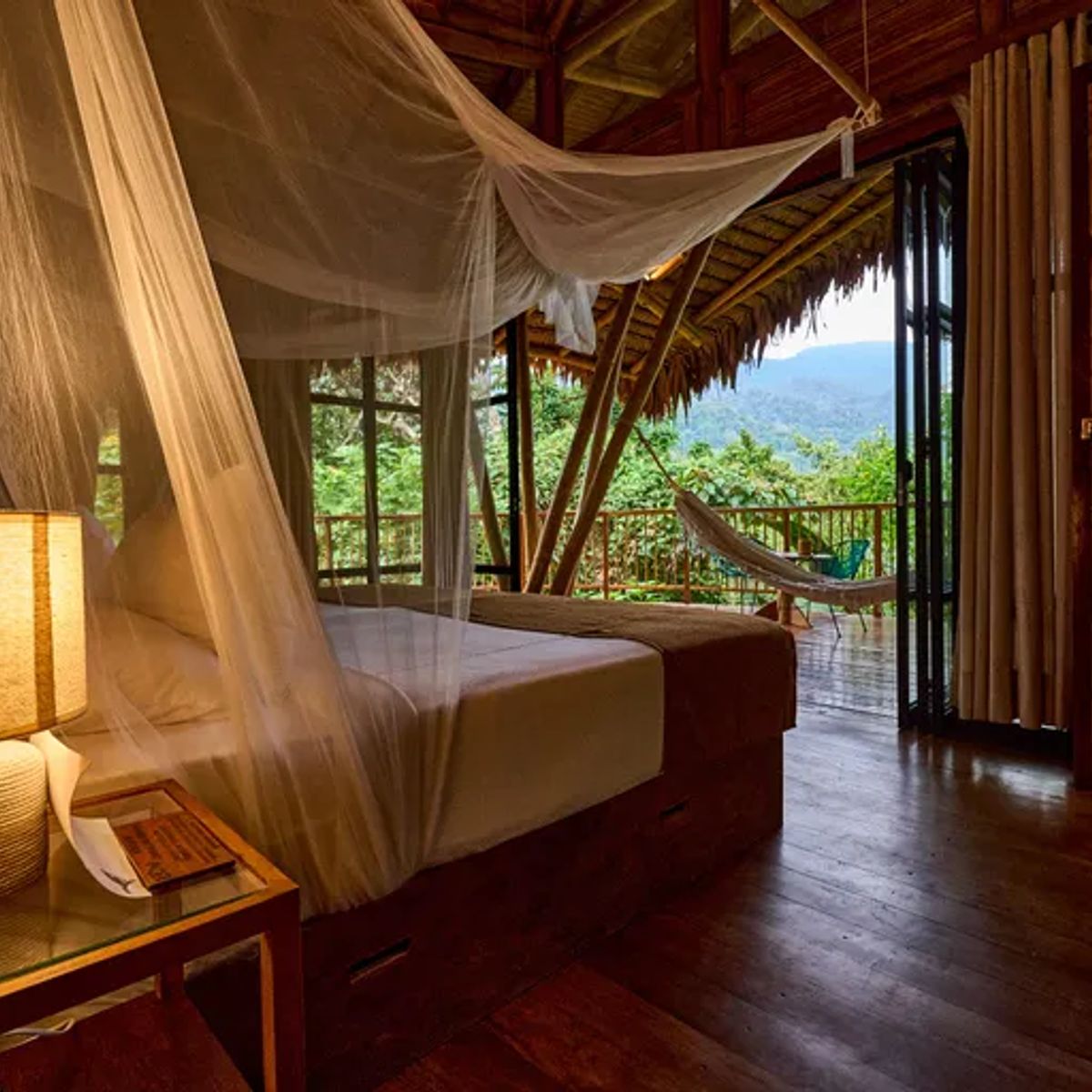 BIGBOX - Bosque Guardián