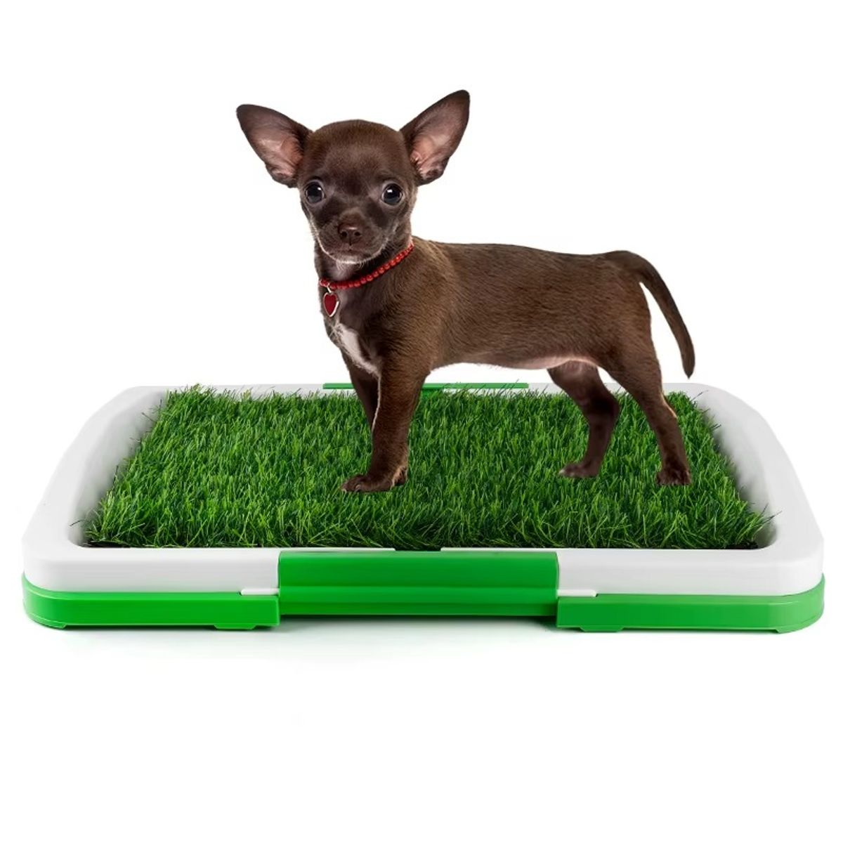 OEM - Bandeja Sanitaria para Perros de 3 Capas - Baño de Césped Sintético 45x32 cm