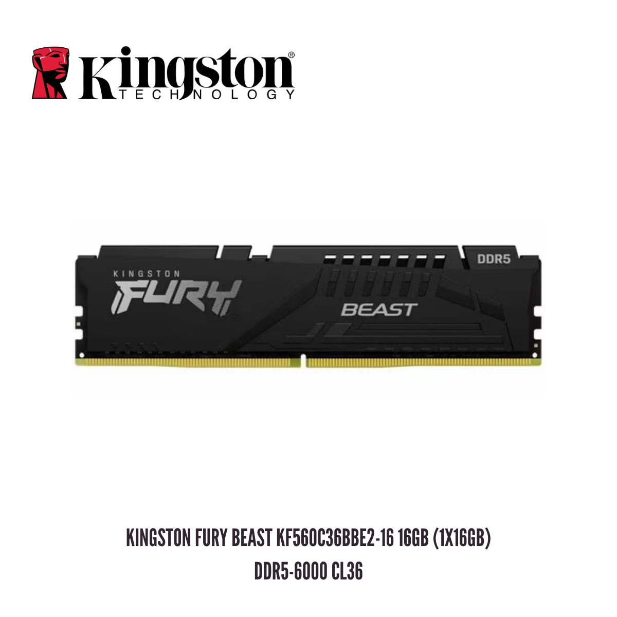 KINGSTON - MEMORIA RAM Kingston FURY Beast KF560C36BBE2-16 16GB 1x16GB DDR5-6000 CL36