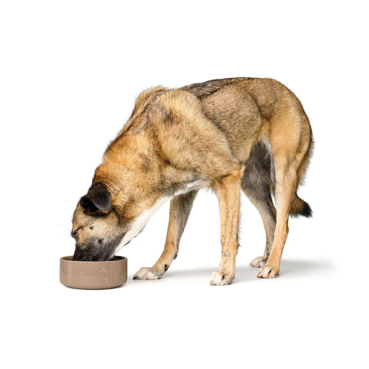 HUNTER - Hunter Bowl Osby Glazed Beige 0.35 l.