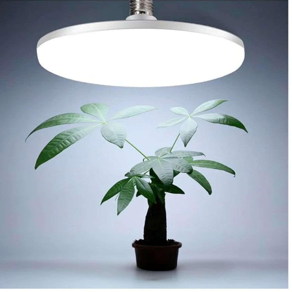 GENERICO - Pack Ahorro 2 Paneles LED 50W Luz Blanca Fría Alta Iluminación