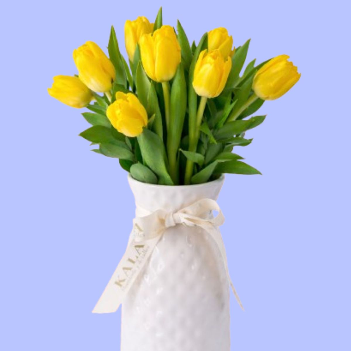 GENERICO - Florero Sol 10 tulipanes