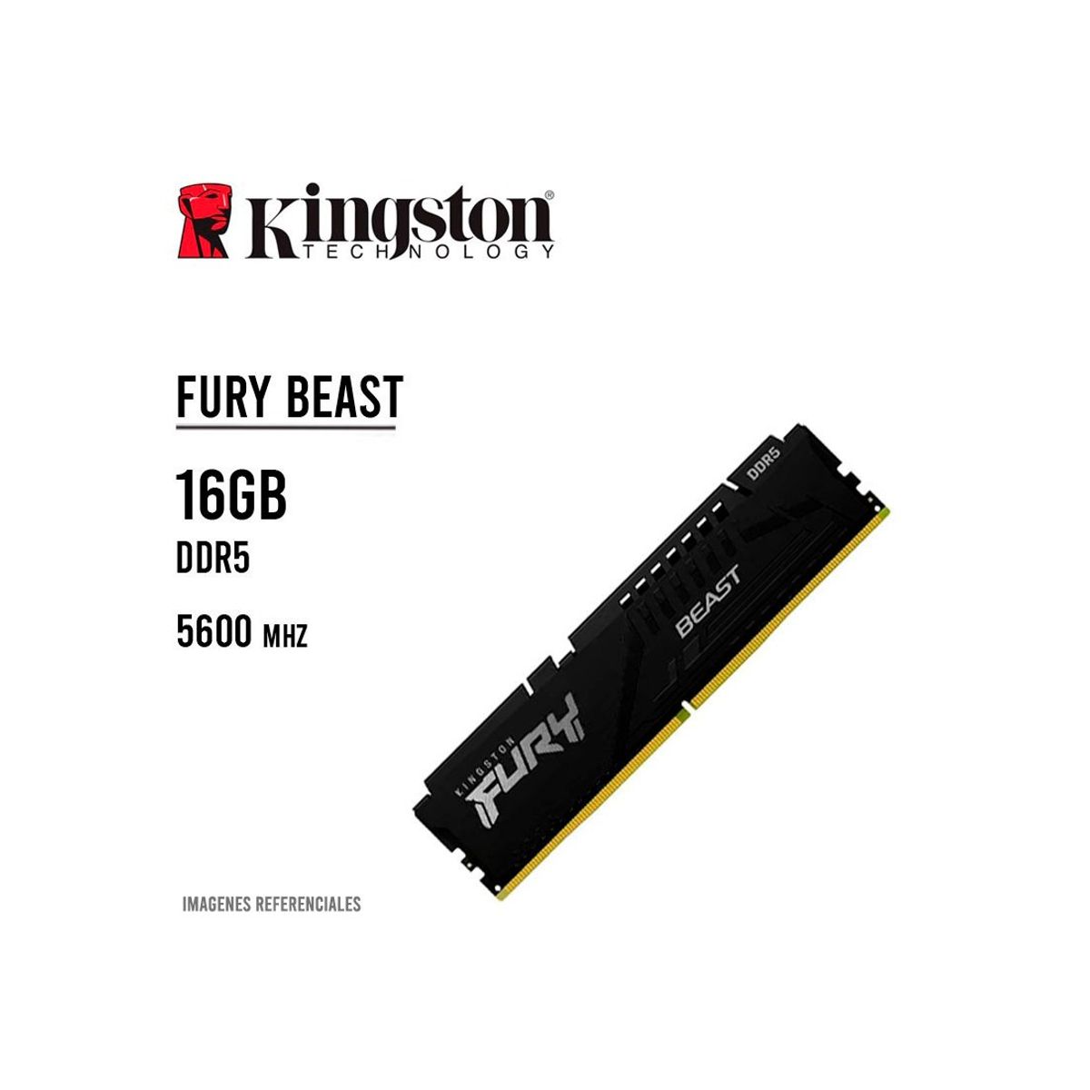 KINGSTON - MEMORIA RAM KINGSTON 16GB5600MHZ DDR5 FURY BEAST  KF556C40BB-16  NEGRO