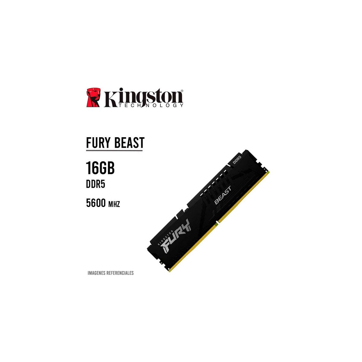 KINGSTON - MEMORIA RAM KINGSTON 16GB5600MHZ DDR5 FURY BEAST  KF556C40BB-16  NEGRO