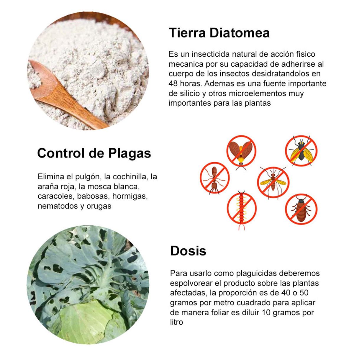 Tierra orgánica Diatomea, marca OEM - Foto 2