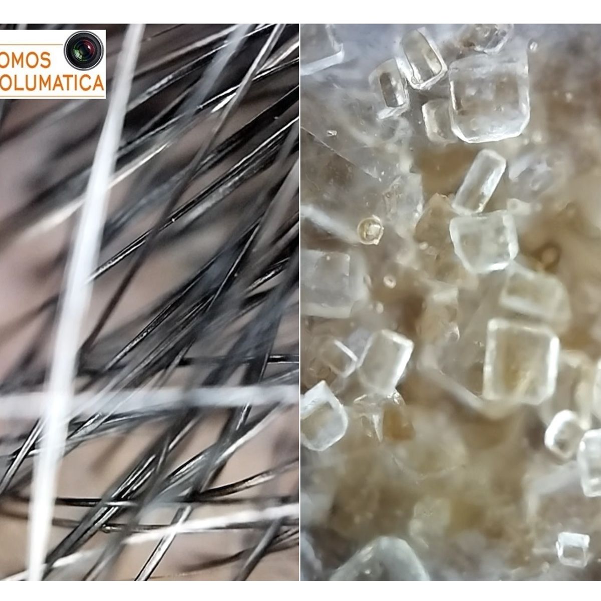 APEXEL - Microscopio Para Celular - Apexel - Super macro con CPL