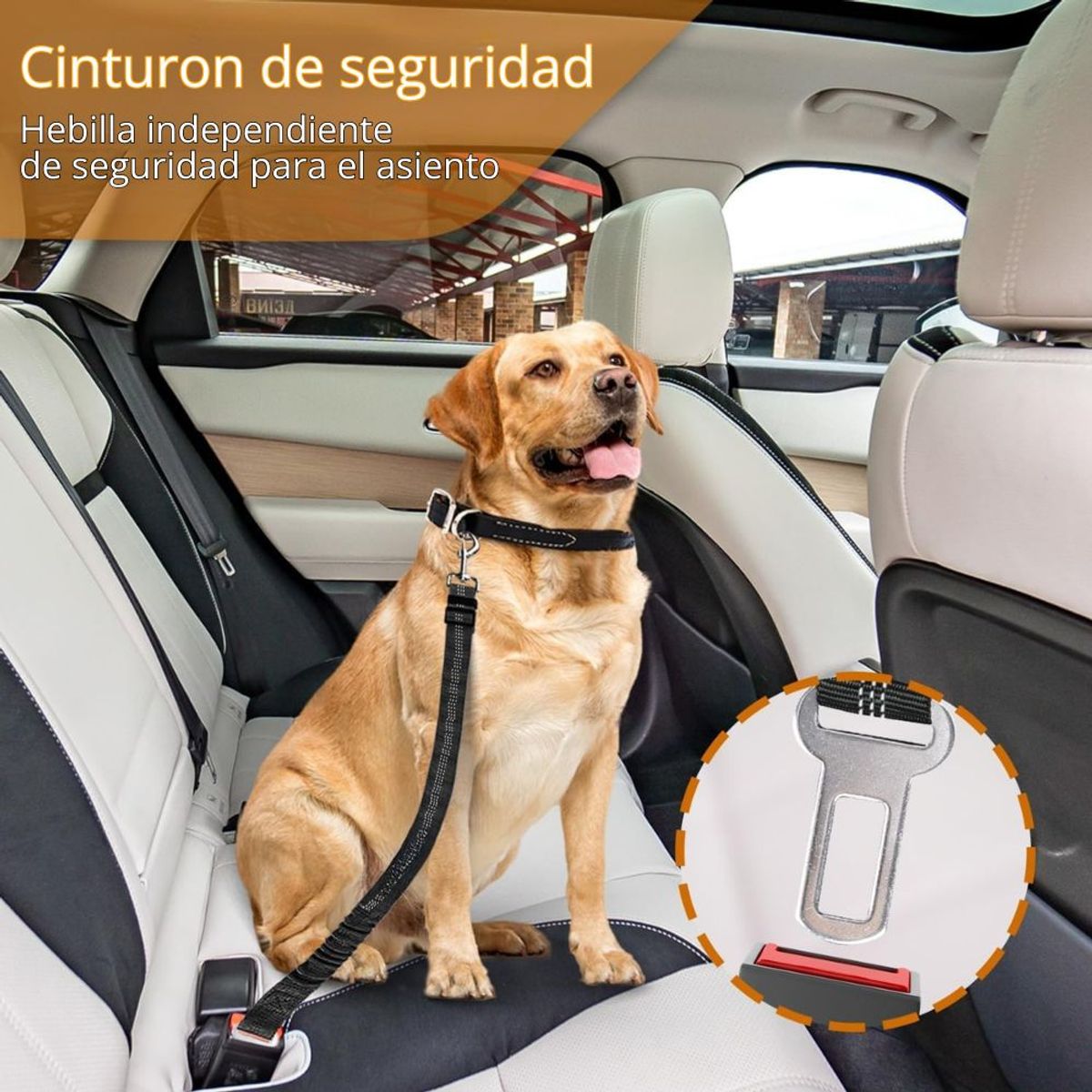 IMPORTADO MC - Correa para Perros de Seguridad en Coche Ajustable Multifuncional 3 en 1 Color Celeste