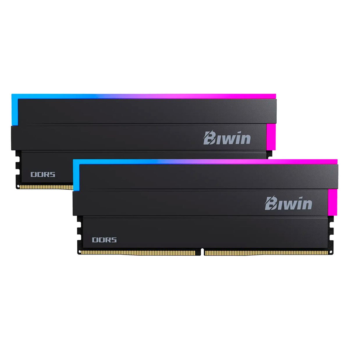GENERICO - Memoria RAM Biwin DW100 RGB 48GB 2x24GB DDR5 6000MTs PC5-48000 CL28 1.4V DIMM 288-Pin