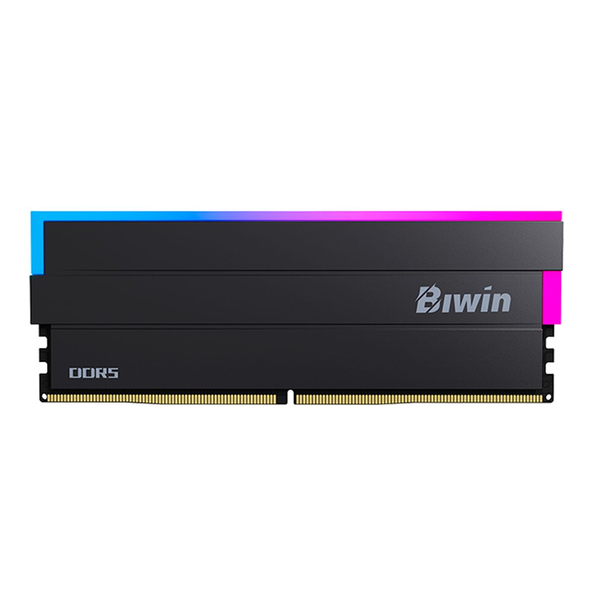 GENERICO - Memoria RAM Biwin DW100 RGB 48GB 2x24GB DDR5 6000MTs PC5-48000 CL28 1.4V DIMM 288-Pin