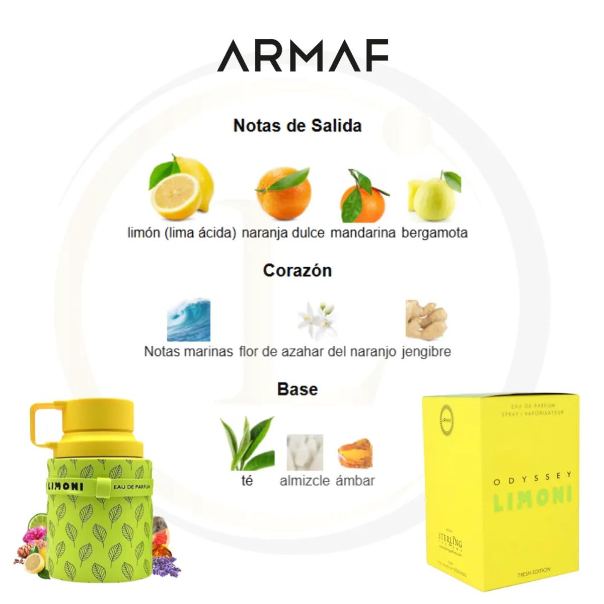 Armaf - Armaf Odyssey Limoni Fresh Edition Edp