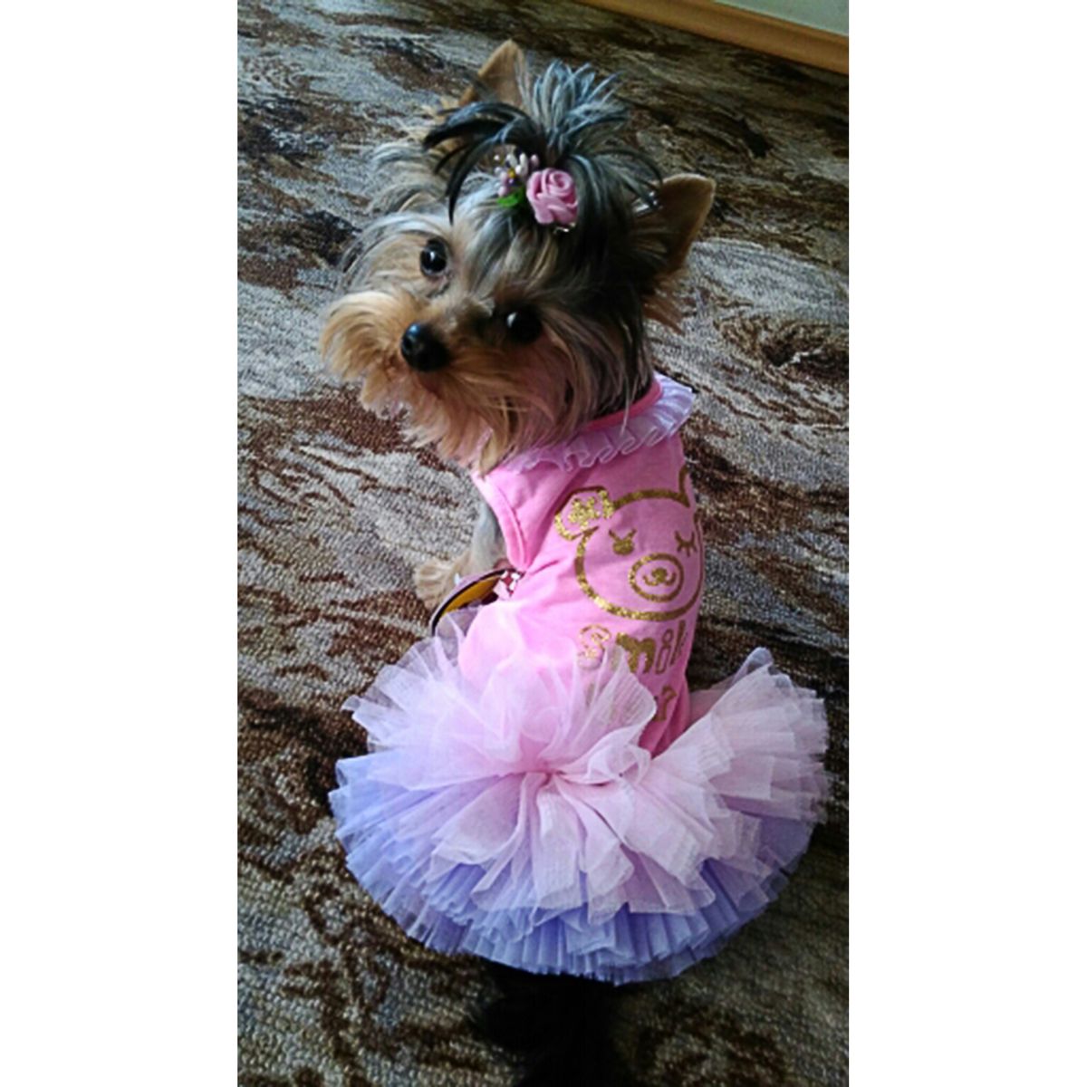 GENERICO - VESTIDO PERRITA PRINCESA ROSADO TUTU ROPA PARA PERRO O GATO PEQUEÑO CUMPLEAÑOS MASCOTA  TALLA S
