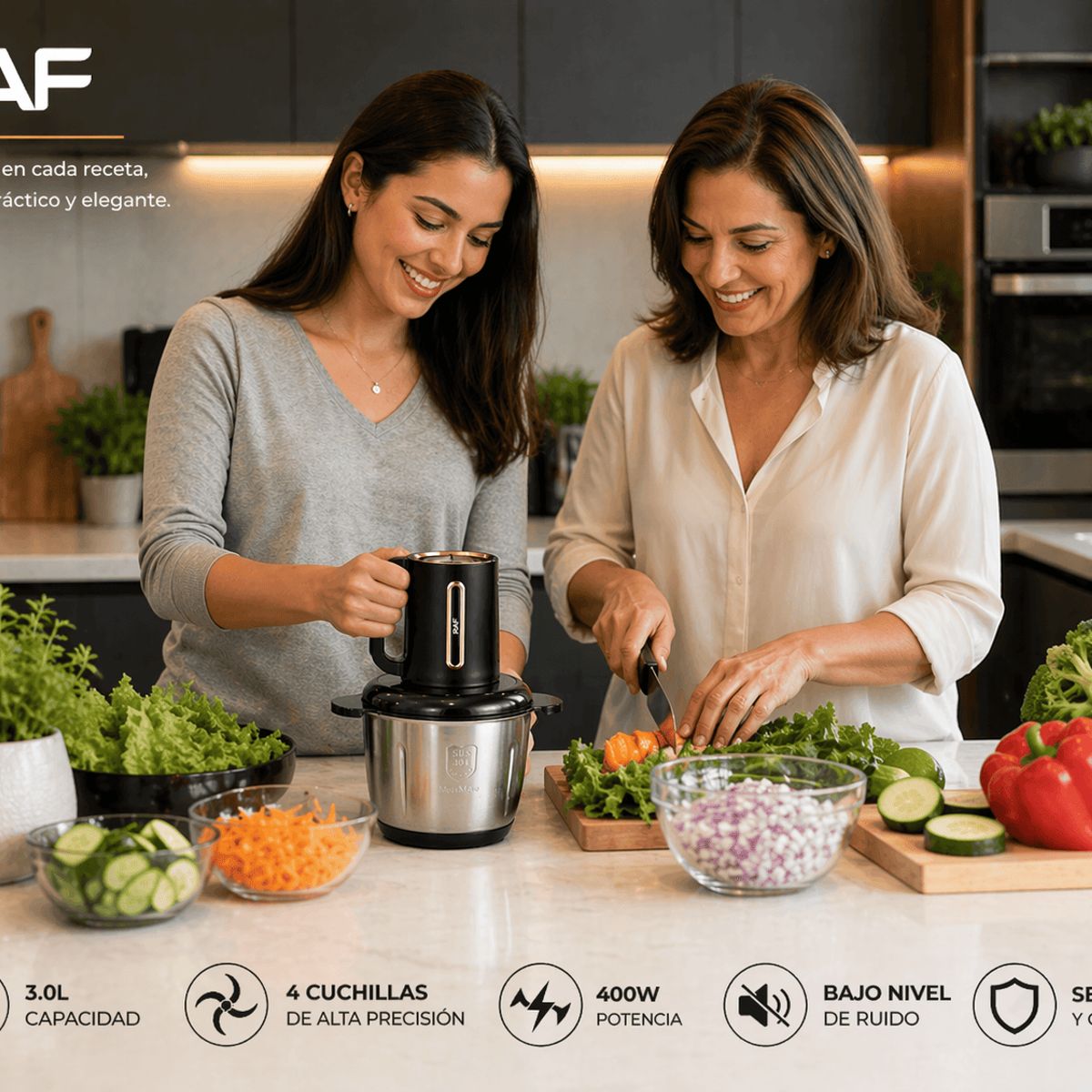 RAFF - Procesador de Alimentos RAF 3 Lts 400w Inox. Negro R.7721