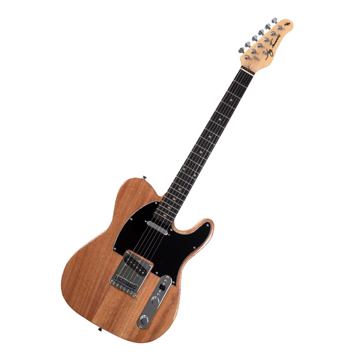 JAY TURSER - PACK GUITARRA ELECTRICA 18 JAY TURSER JT-LT-N-A-U; MARSHALL MG10 AMPLIFICADOR DE 10W; ACCESORIOS