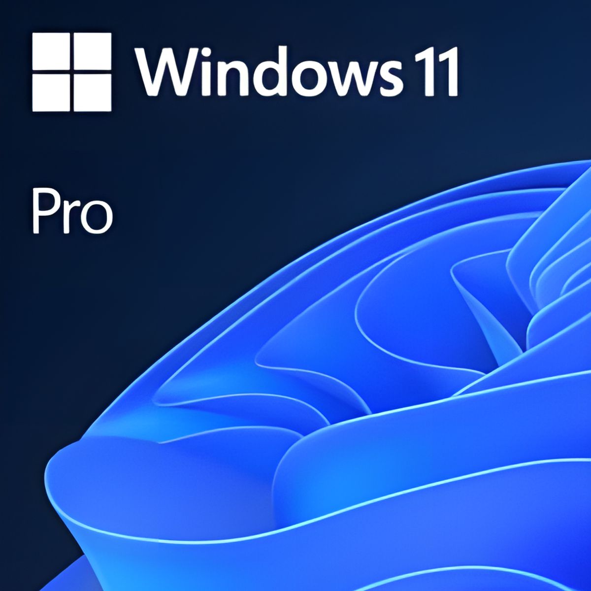 MICROSOFT - Windows 11 Pro Retail Global