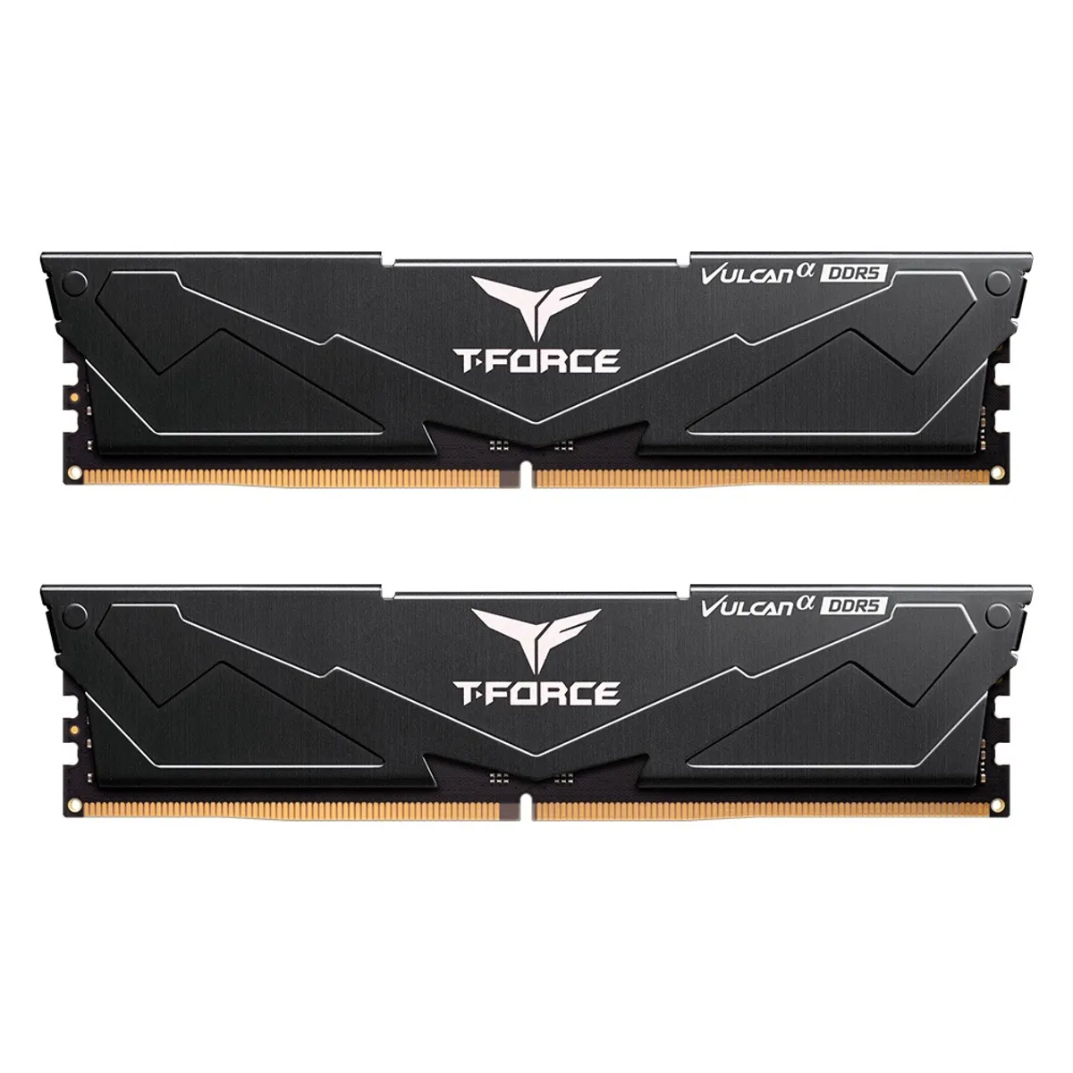 TEAMGROUP - Memoria RAM TeamGroup T-Force Vulcan 8GB DDR5 6000mHZ cl38