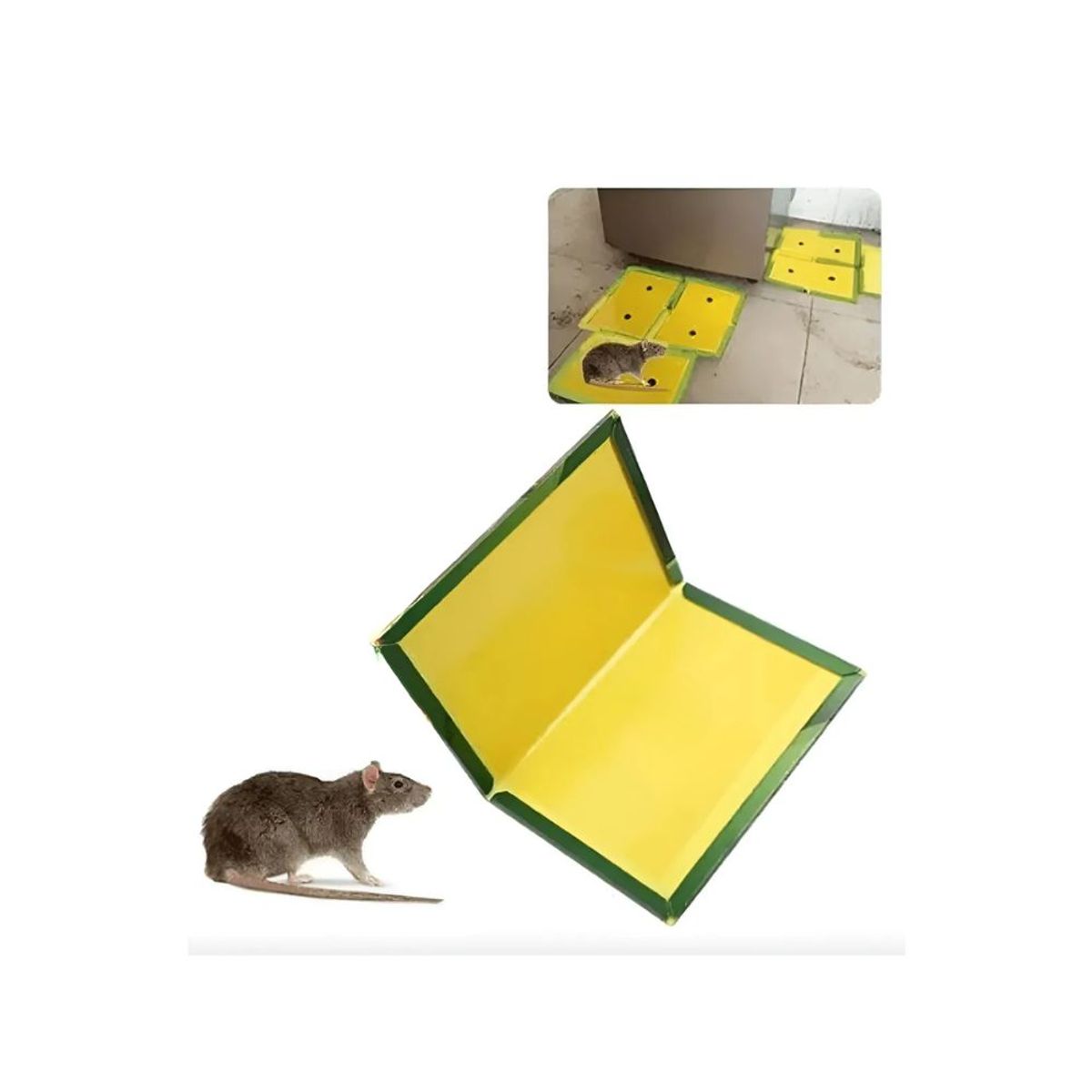 GENERICO - Trampa Para Ratas Y Ratones Eficaz