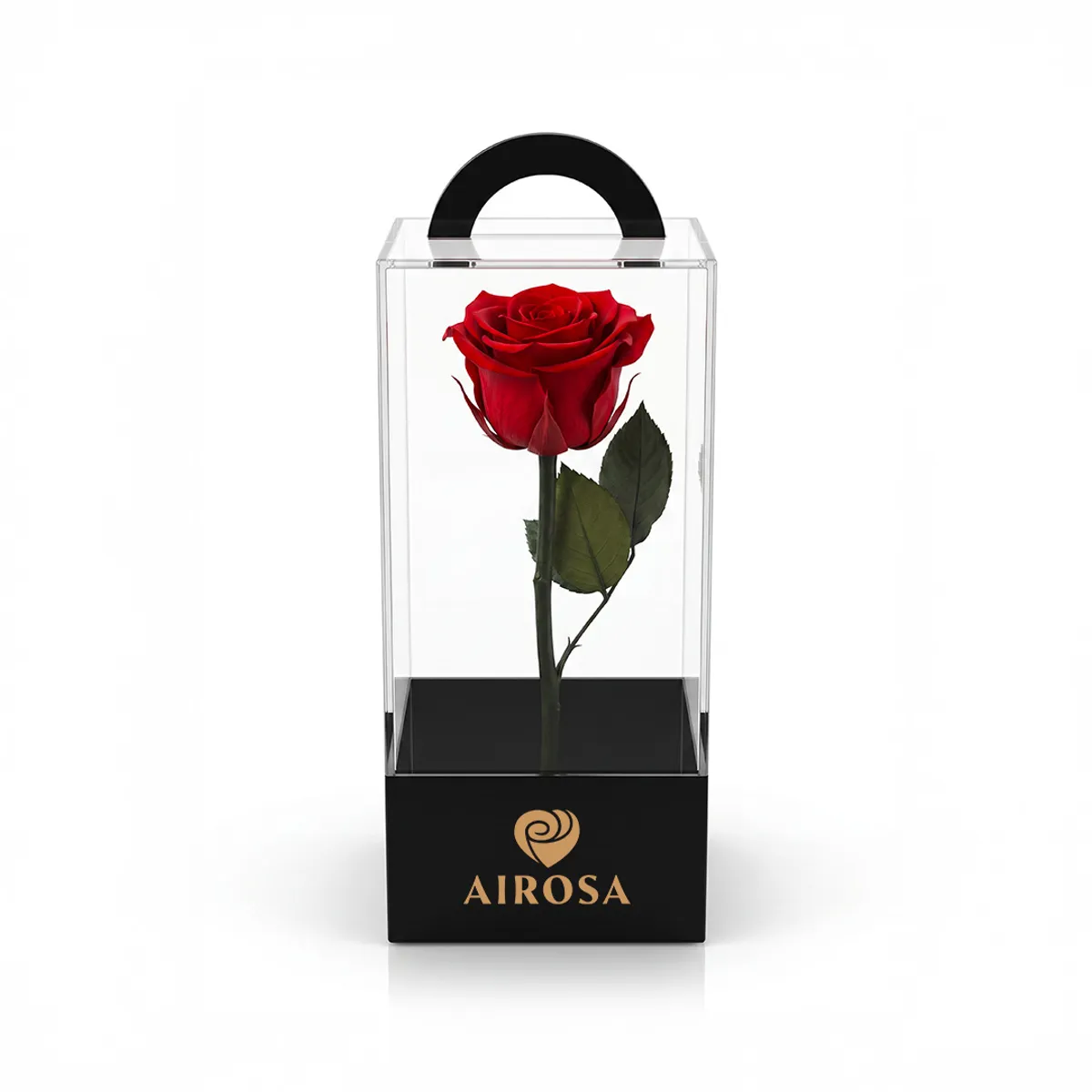AIROSA - Rosas Preservadas Airosa con tallo 30 cm caja de acetato