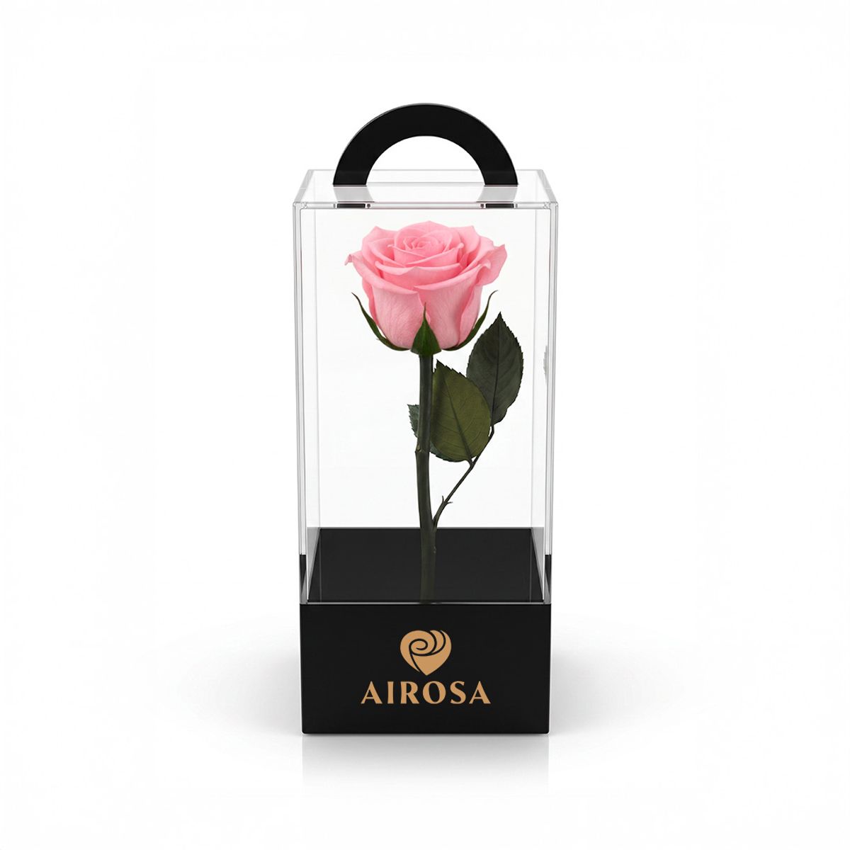 AIROSA - Rosas Preservadas Airosa con tallo 30 cm caja de acetato