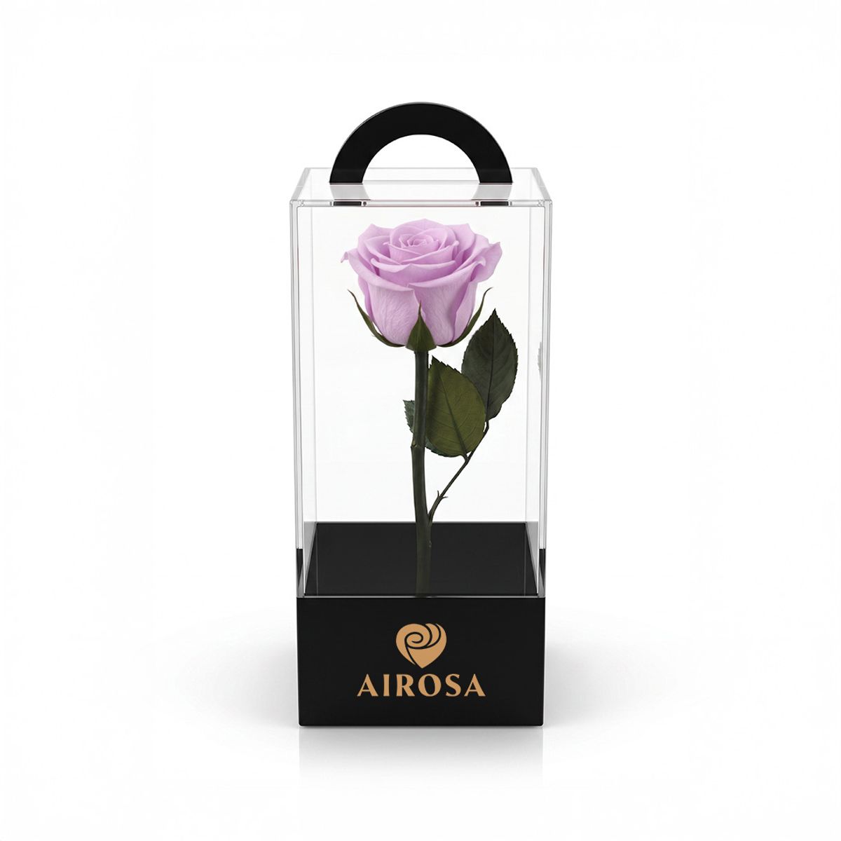 AIROSA - Rosas Preservadas Airosa con tallo 30 cm caja de acetato