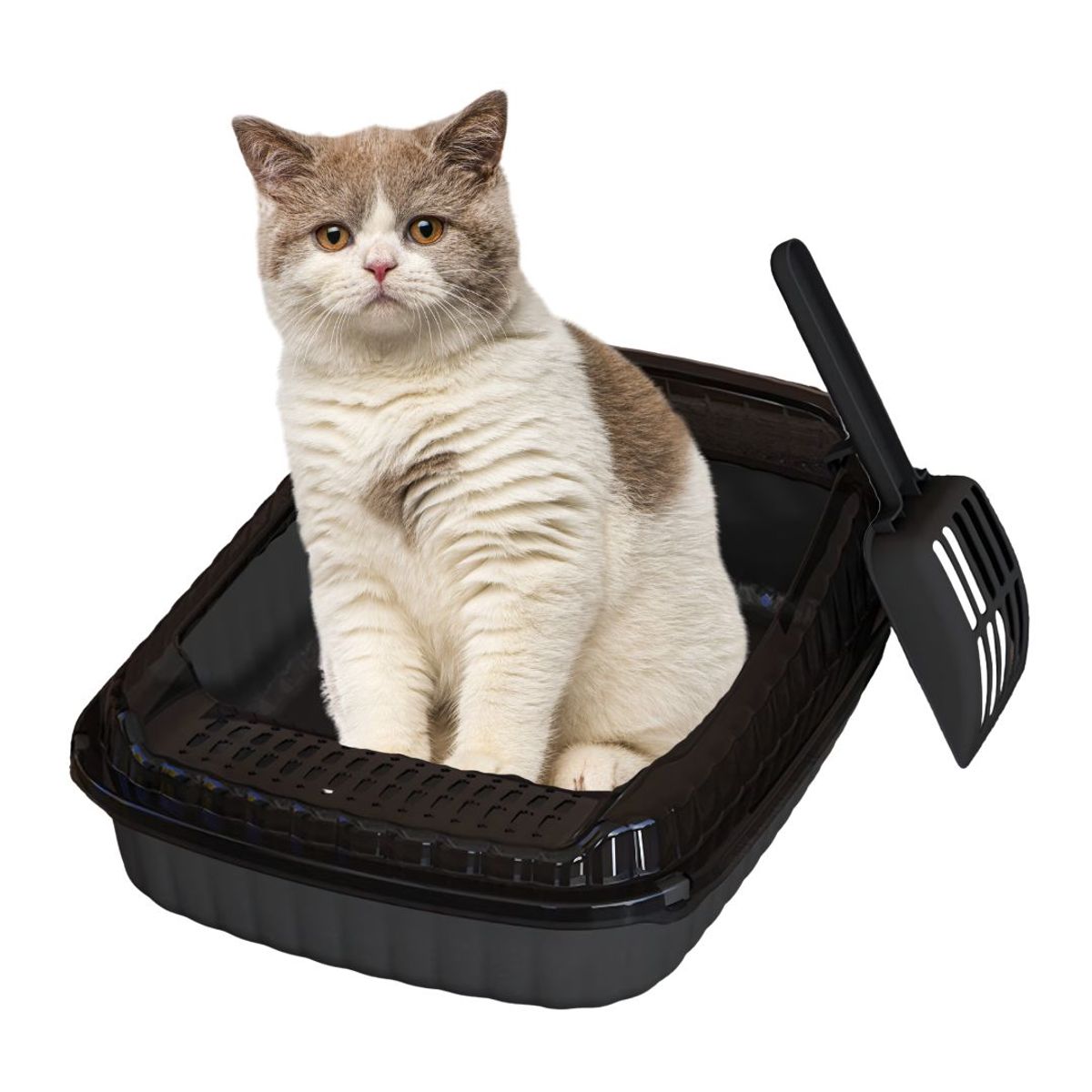 GENERICO - Arenero Práctico SEMI ABIERTO Moderno para Gatos NEGRO