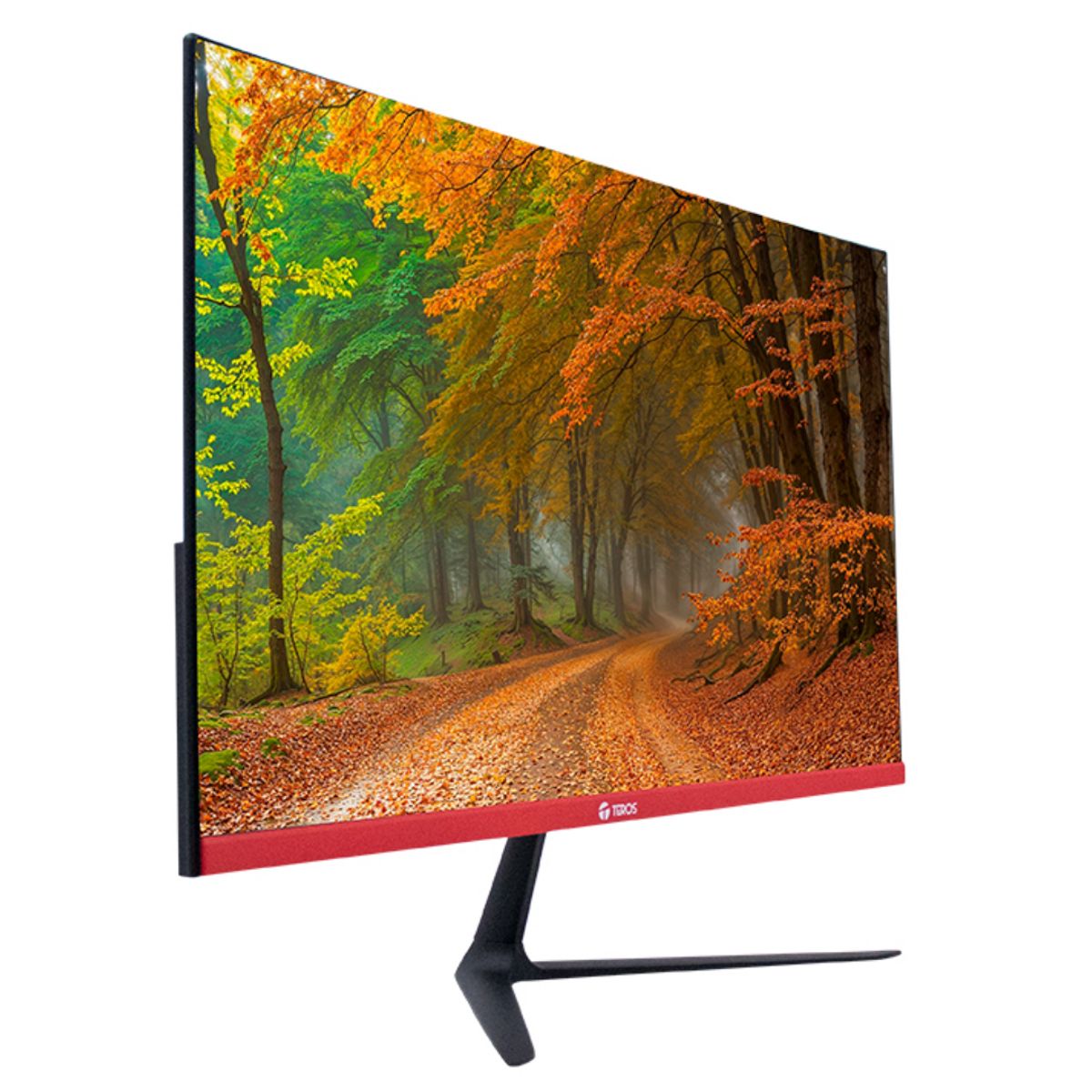 Teros - MONITOR GAMER CURVO TEROS TE-2403S 23.8 FHD VA 144HZ 1MS