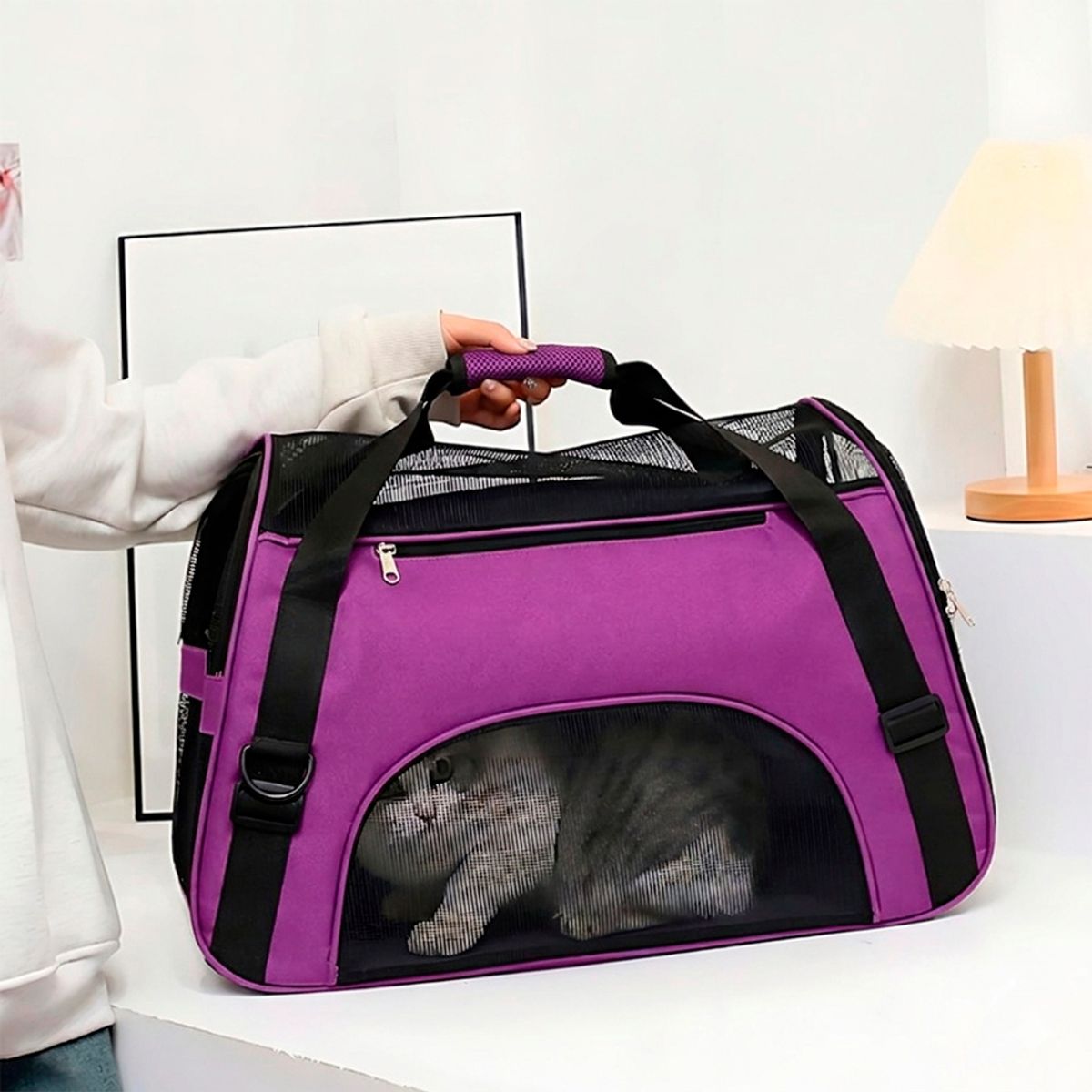 GENERICO - Transportador Grande de Gato o Perro Pequeño Morado