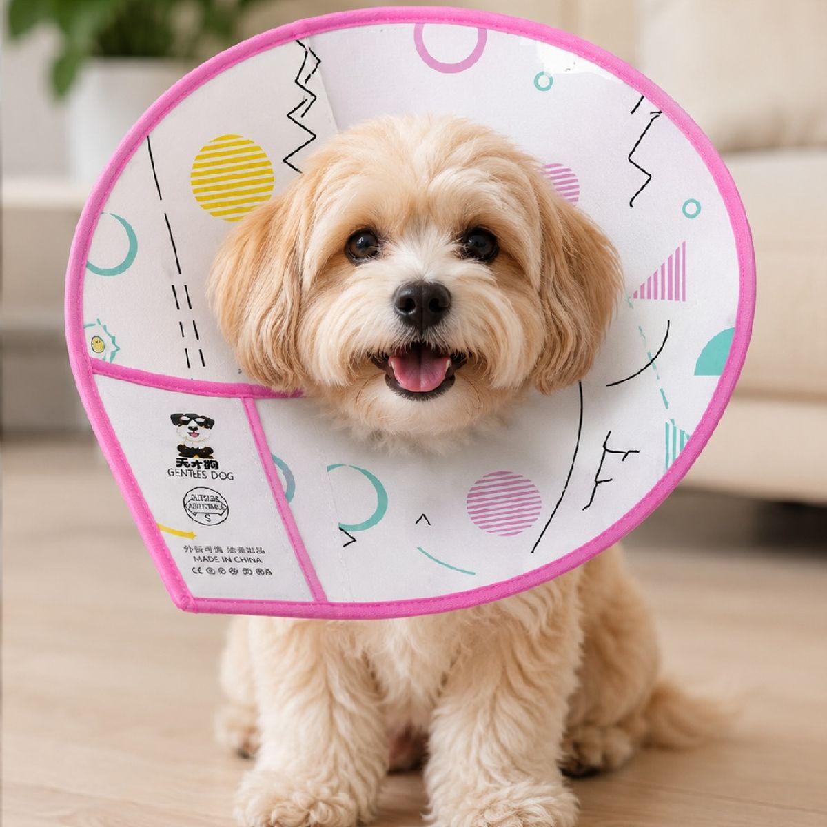 GENERICO - Collar Isabelino Tipo Cono De Plástico Importado Color Rosado Talla 1 (talla Chica)