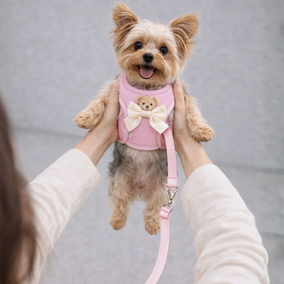 WOMPET - Teddy Bear Arness Standar