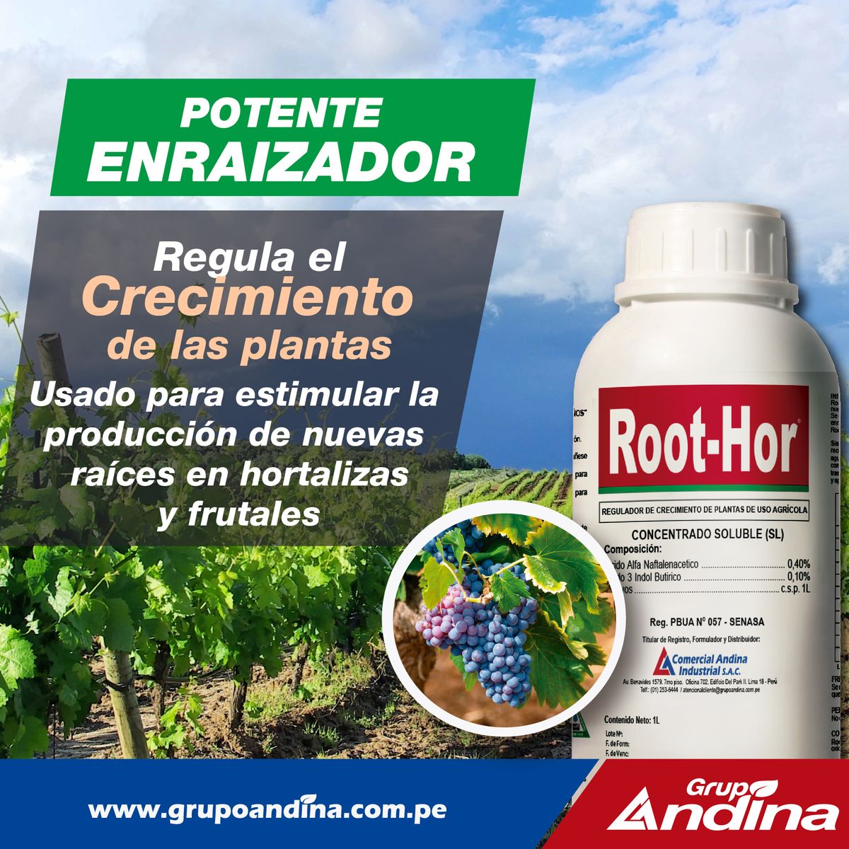 Enraizante Root-hor x 250ml. Regulador De Crecimiento, marca GENERICO - Foto 2