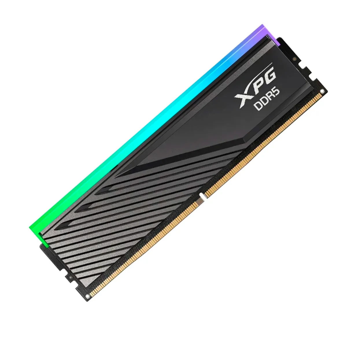 XPG - Memoria RAM ADATA XPG LANCER RGB 8GB DDR5-5600 CL46 UDIMM para PC color negro