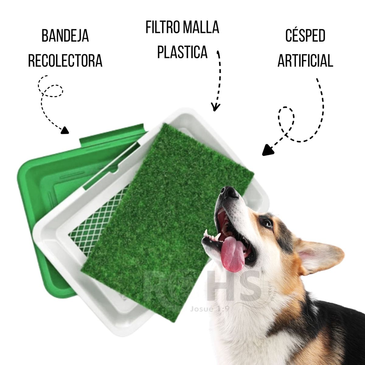 ROHS - Baño Ecológico Para Mascotas + Cepillo Quita Pelusa Gris Dúo Mascota
