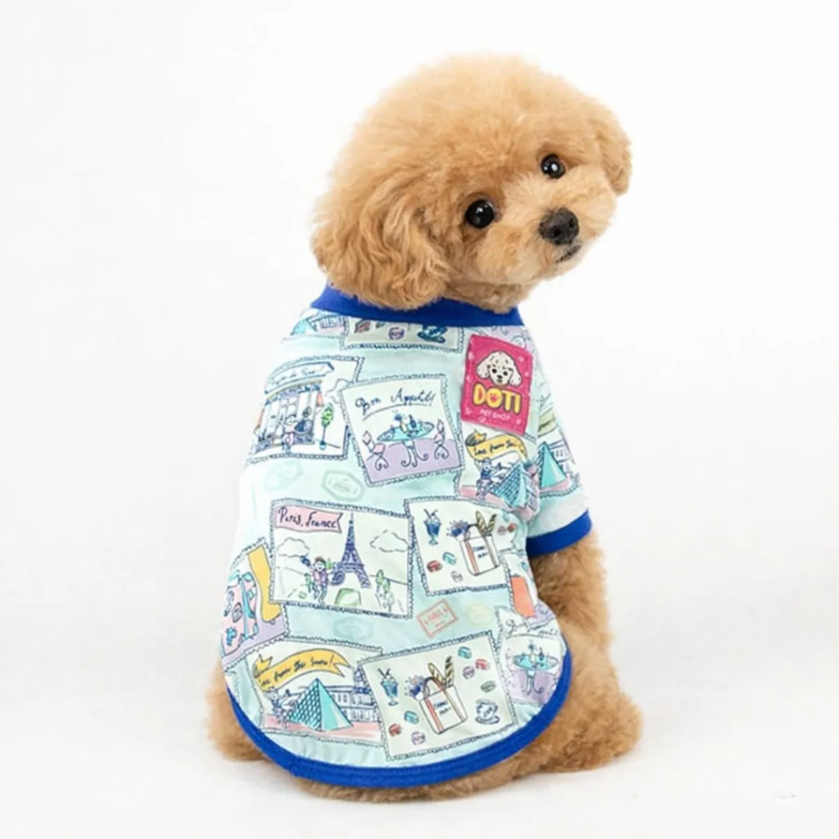 GENERICO - Polo para mascota T0 - Azul