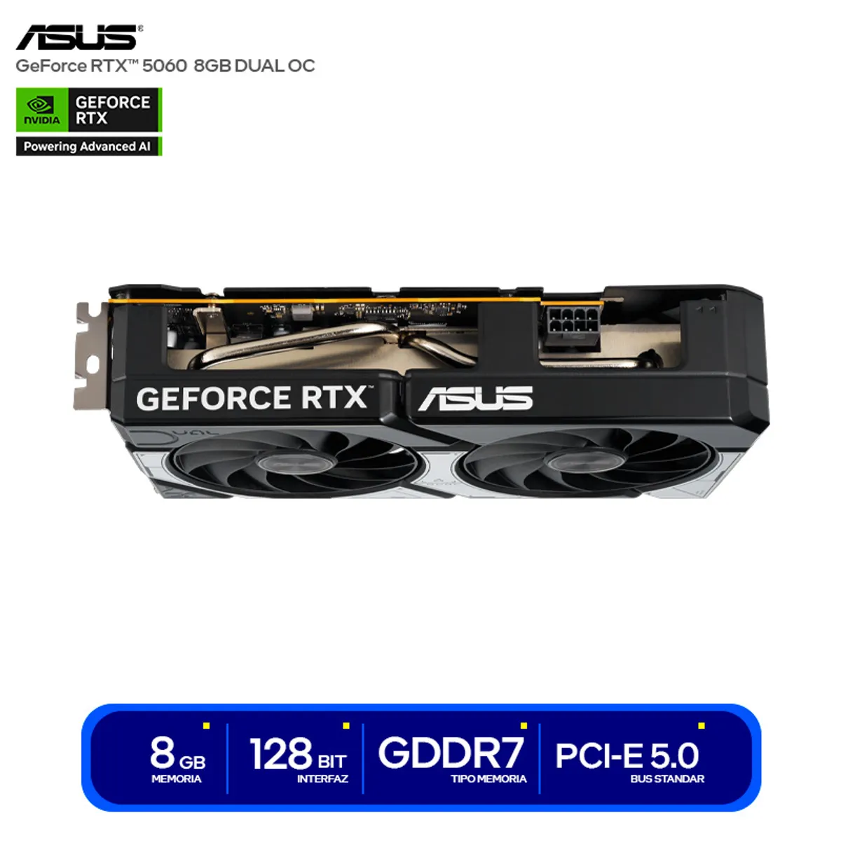 ASUS - TARJETA DE VIDEO ASUS DUAL NVIDIA RTX5060 8GB OC GDDR7