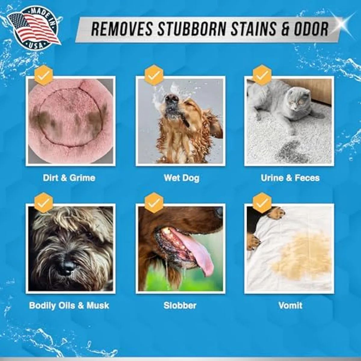 DECOAMERICA - Detergente Polvo Enzimatico ACTIVE 2lb Quita Olores Mascotas
