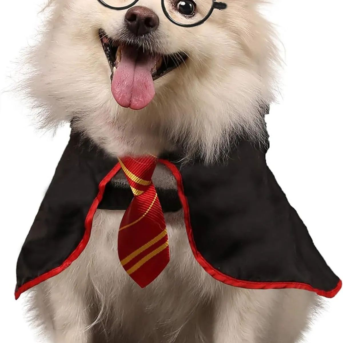 Disfraz de Mago para Mascota Rojo - Talla M, marca AMAZON - Foto Principal