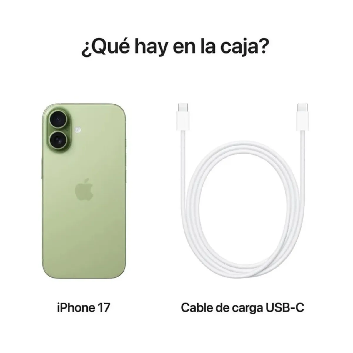 APPLE - APPLE IPHONE 17 256GB SAGE ESIM