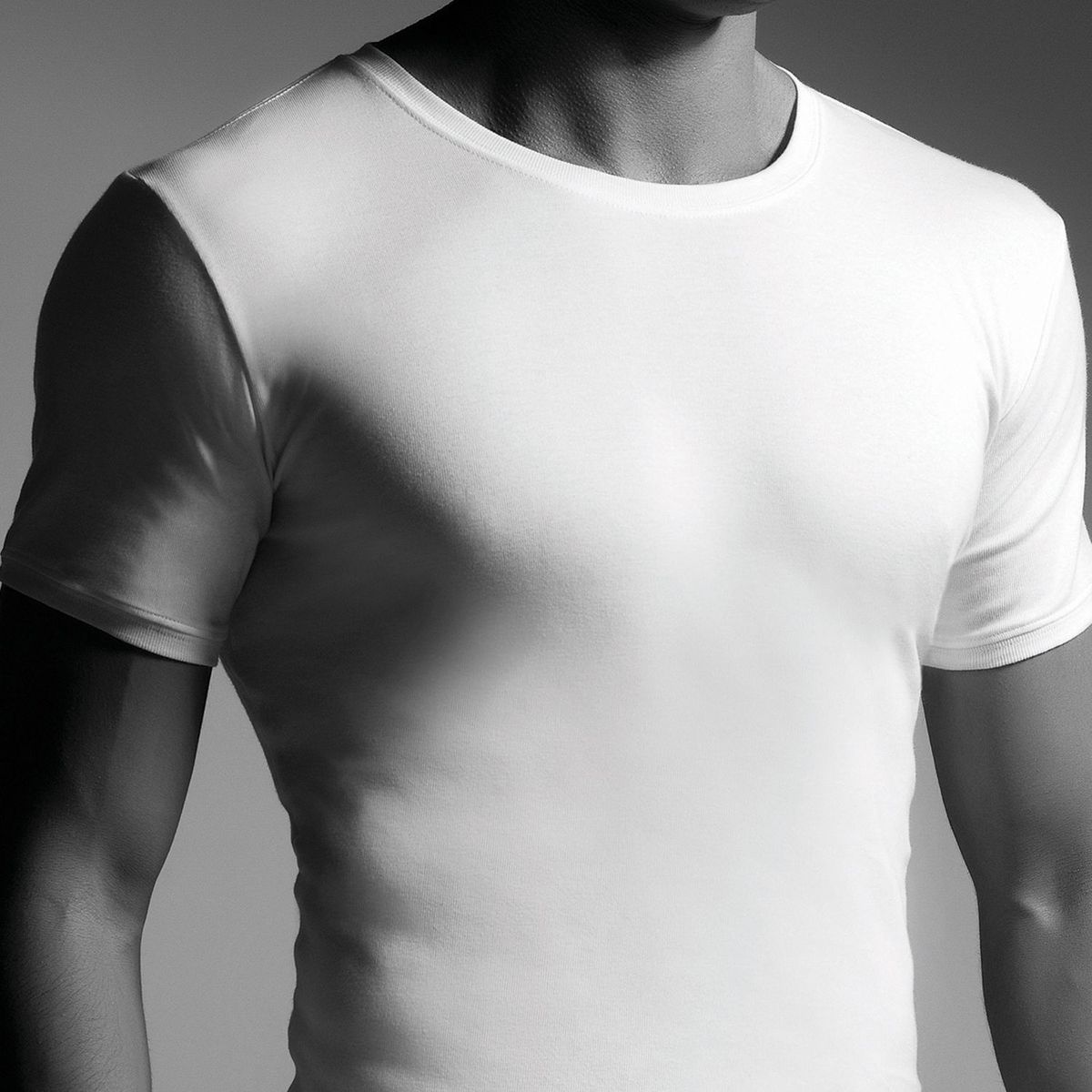 CLOVER - Camiseta Manga Corta Hombre Clover