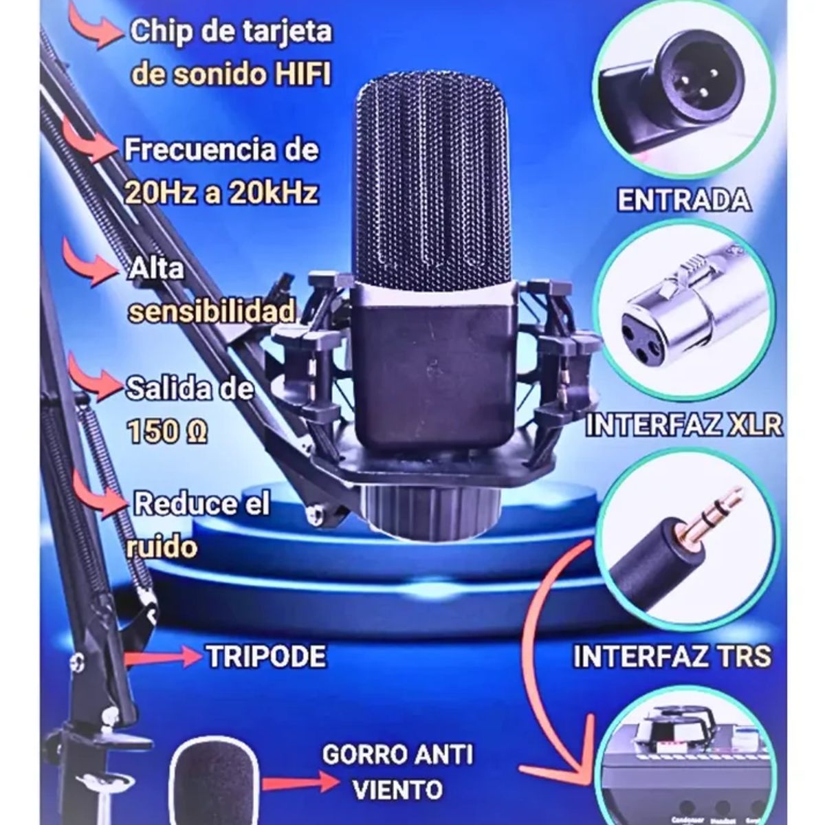 SEISA - Kit de Micrófono condensador con consola de video estudio profesional MOD PP670