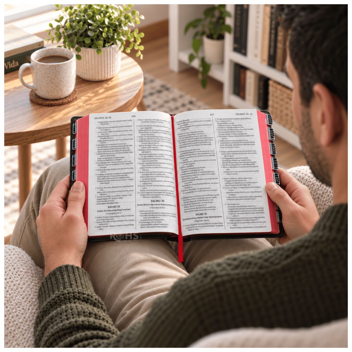 OEM - Biblia “Chuya Qellqa” - Quechua Ayacuchano, Tapa de Cuero + Tabs e Índices