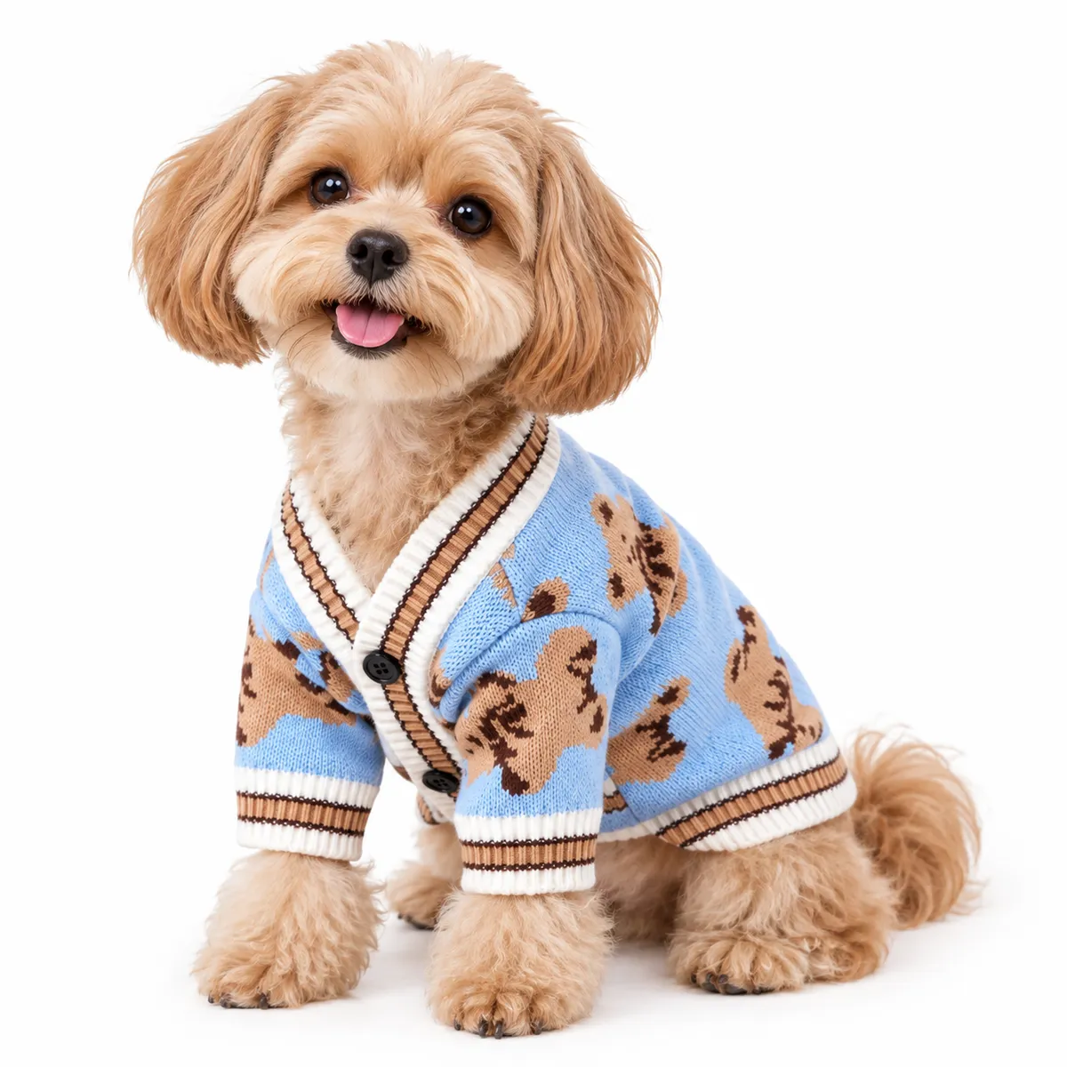 Chompa Teddy - Talla 4 - París Little Paws PARIS LITTLE PAWS ...