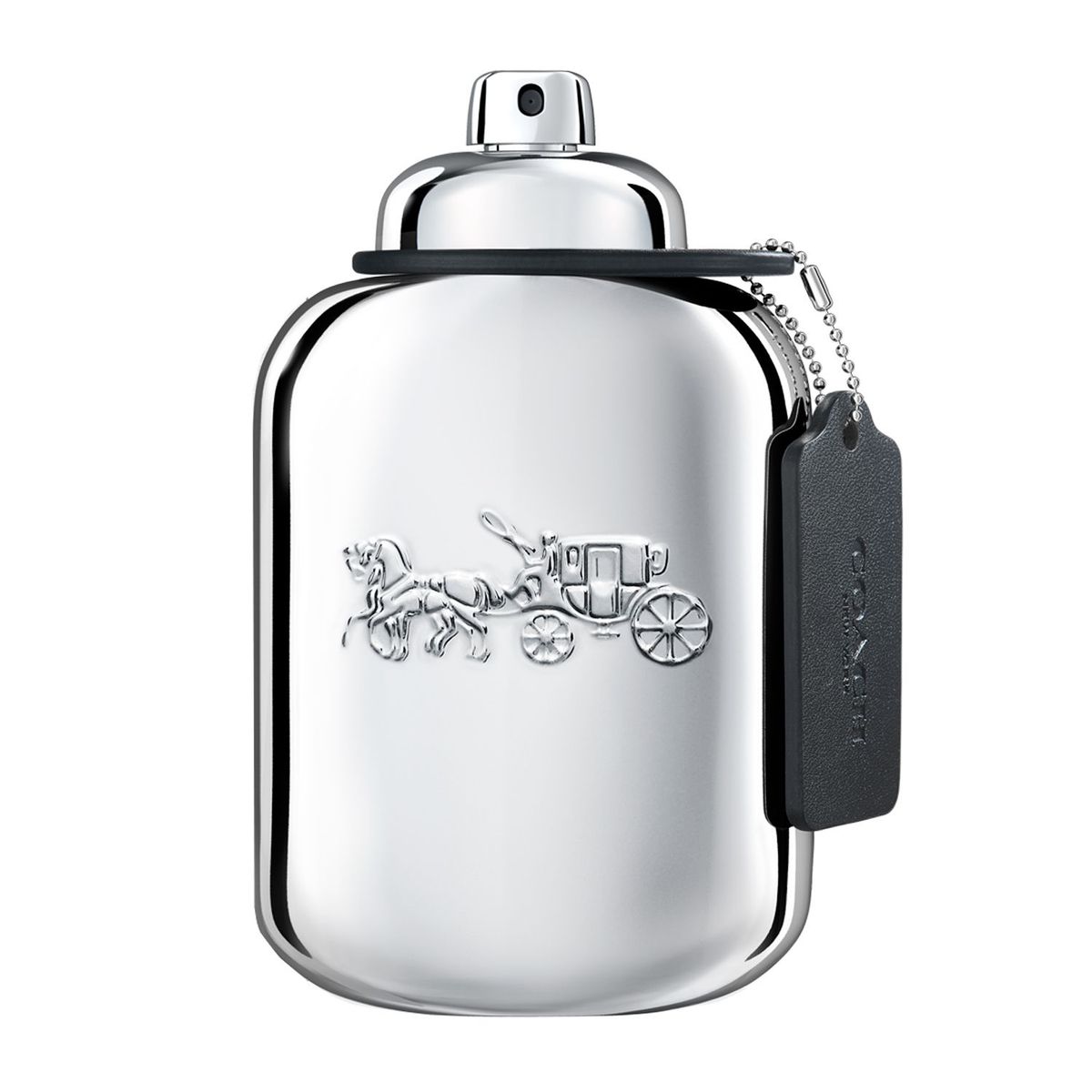 COACH - Man Platinum EDP 100 ml COACH
