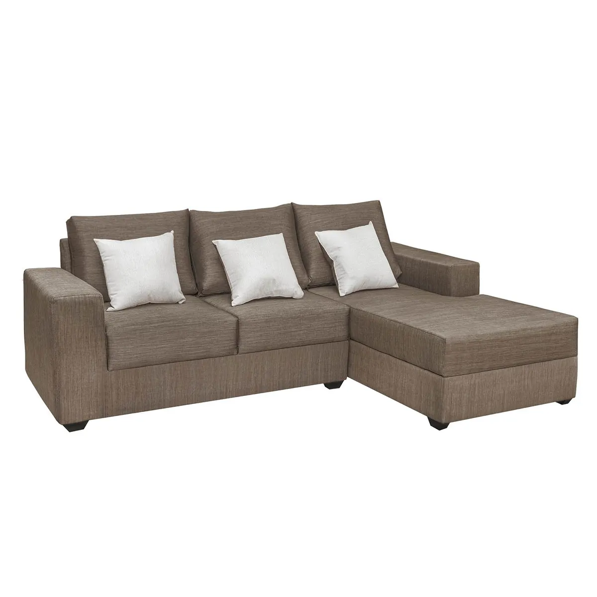 FORLI - Seccional Spring Derecho