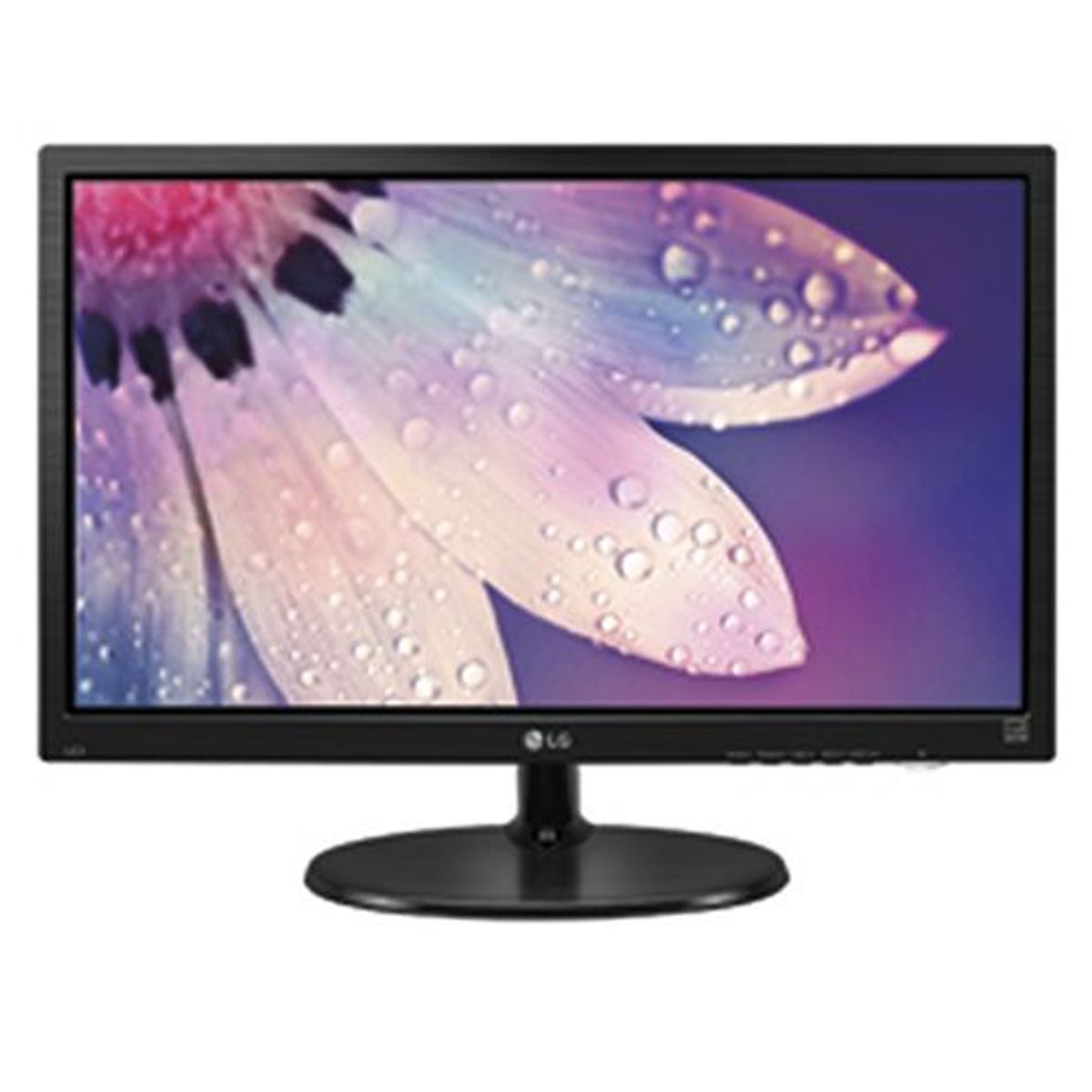 LG - Monitor LED 19"