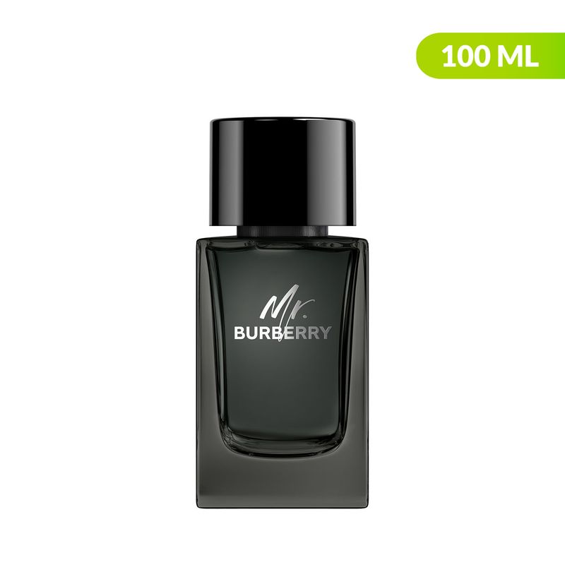 Burberry Burberry Eau de Parfum 100 ml Burberry Hombre