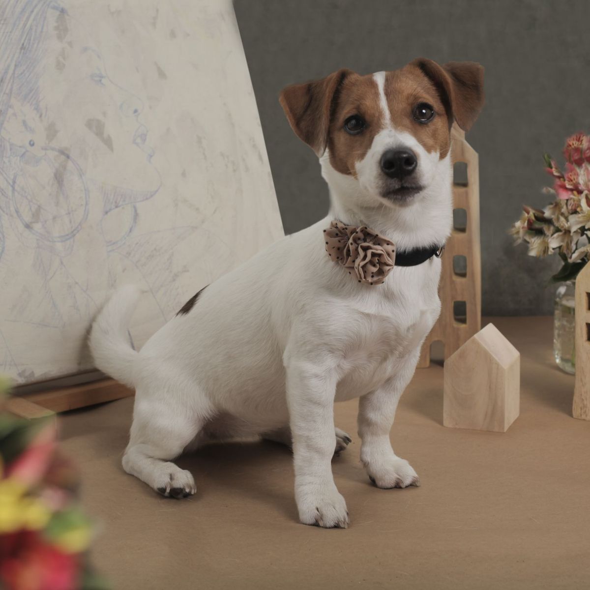 EL BAUL DE COCO - Collar Shanelle