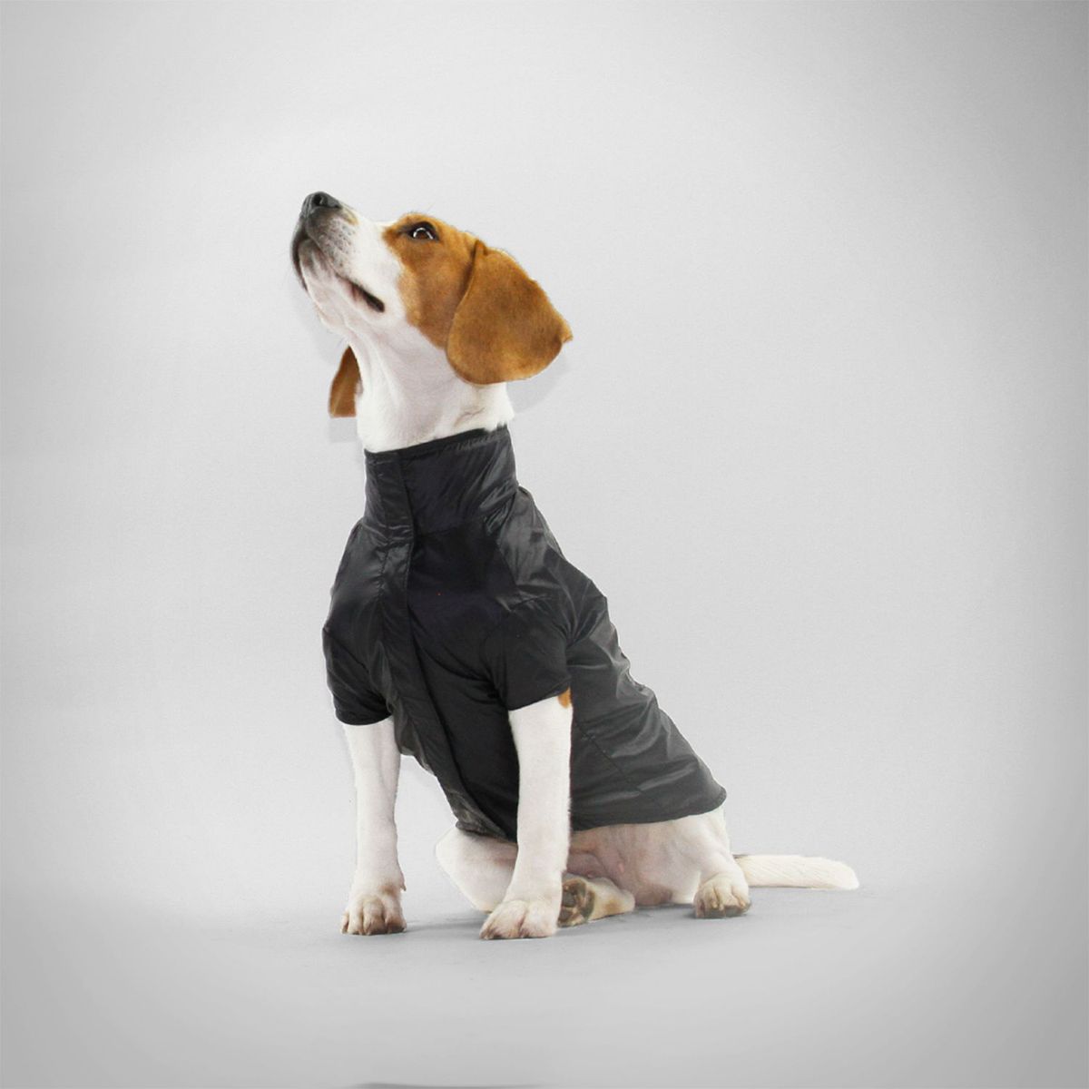 NADRA - Chaqueta Pet Impermeable Neon Black